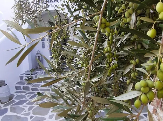 Appartement Anixis Paros Alikí