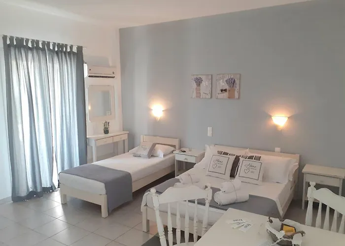 Anixis Paros Appartement *