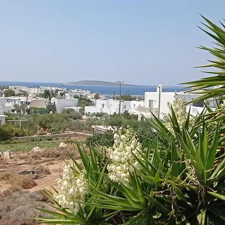 Anixis Paros *