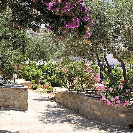 Anixis Paros * Alikí