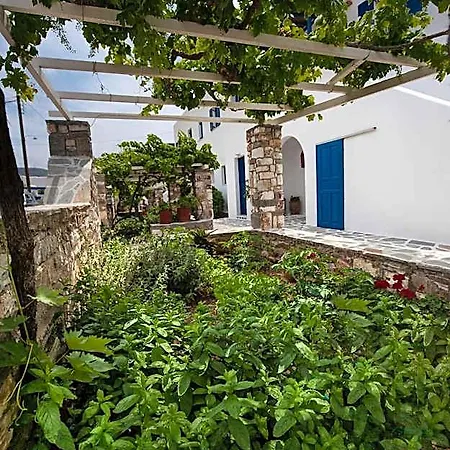 Anixis Paros * Alikí
